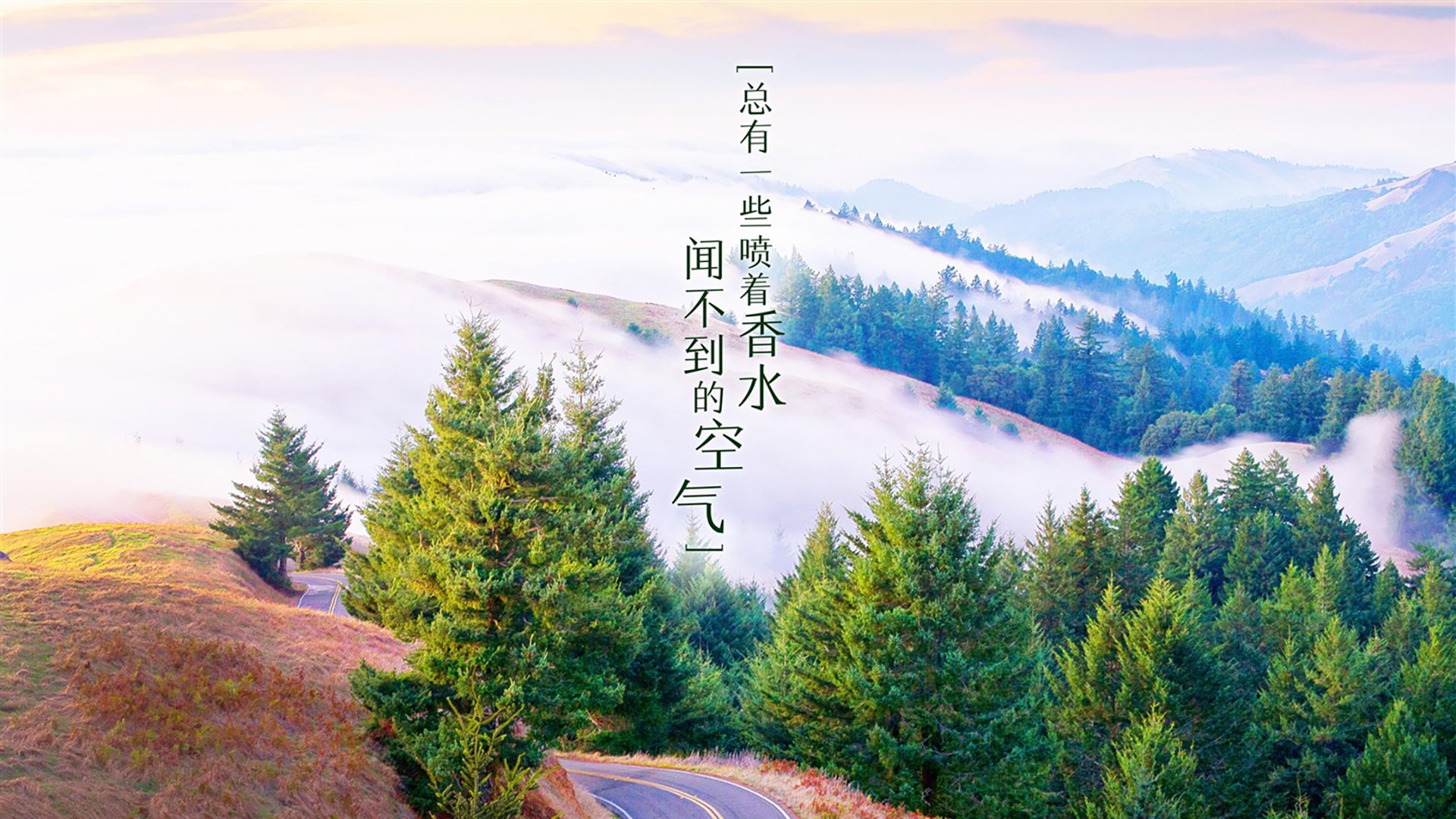 AIYOUXI.COM-热刺主场小胜谢菲联，继续追赶榜首