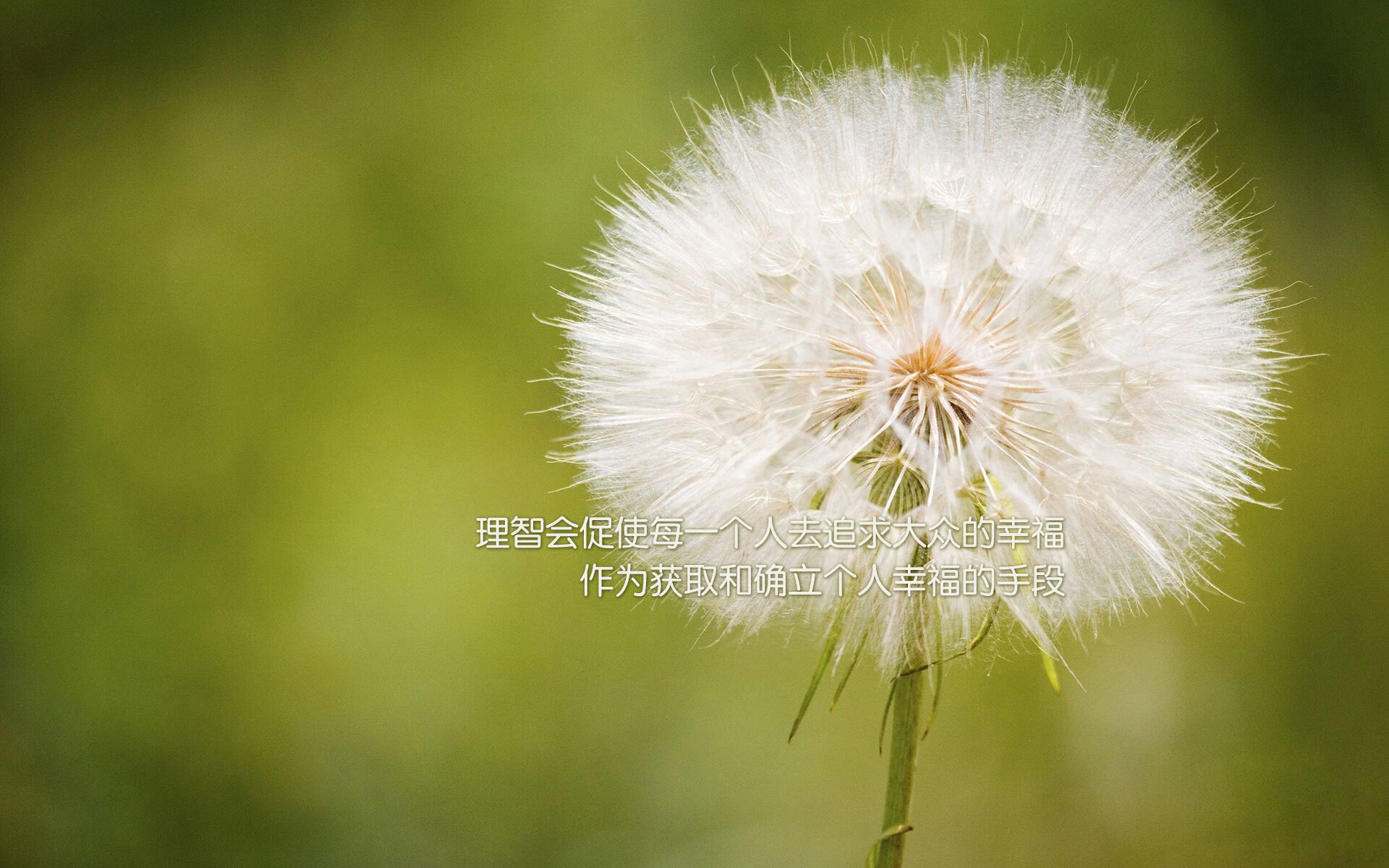 爱游戏体育APP下载-雄鹿内线战术赢得赞誉，球队势不可挡，雄鹿战术分析