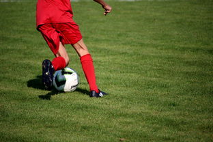 AYX体育-法甲营养恢复系统提升球员赛季稳定性调查