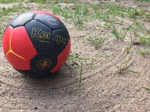 爱游戏体育APP下载-英超球队基于运动表现数据调整赛中体能分配策略，英超球队规则