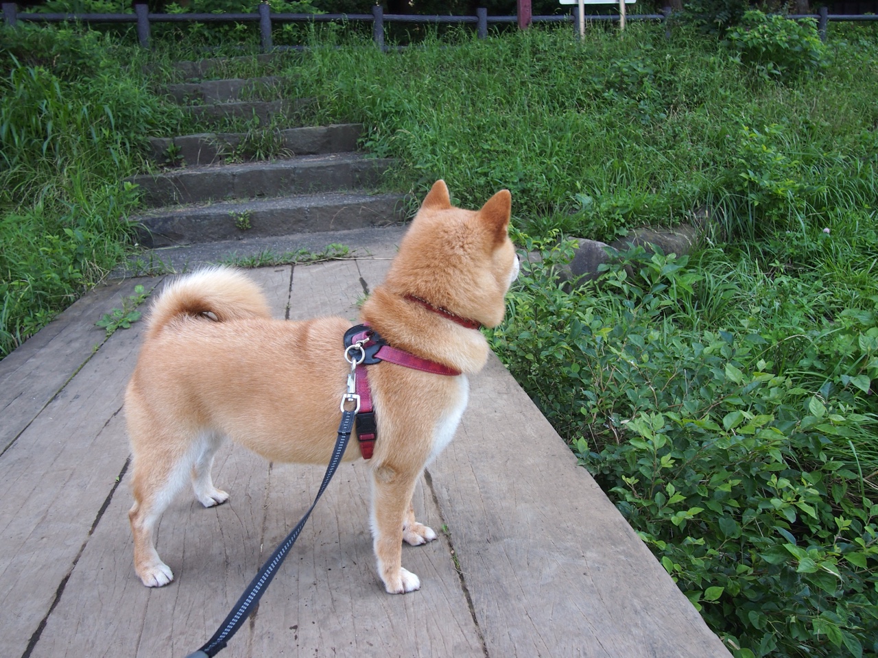 英超赛季间国际冬训营盈利能力评估，英超冬季转会期时间