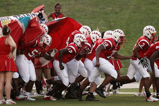 爱游戏官方-威少强势复出奇才球队重返前八，威少奇才首秀