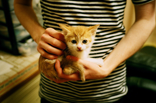 美国队稳步提升成绩赢得认可,美国队怎么样