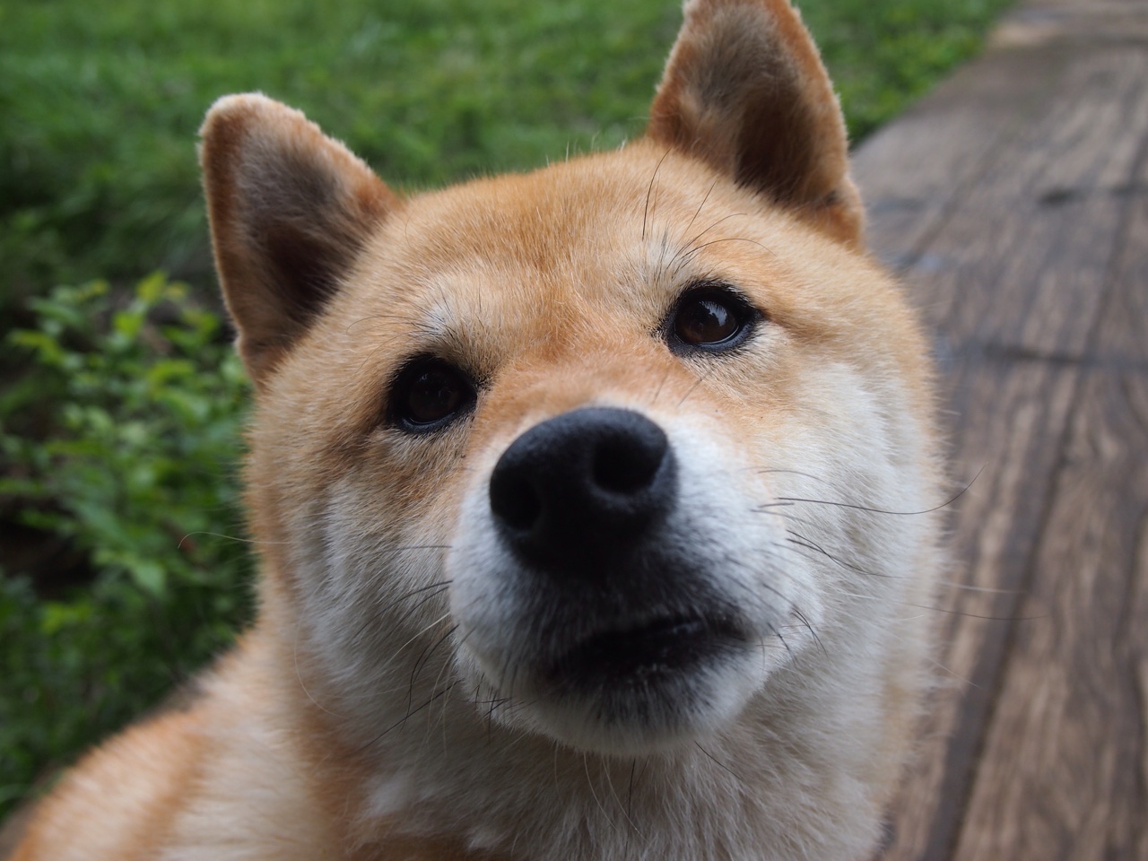 AYX体育-足球转会窗口最新消息，足球转会是什么意思