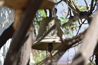 爱游戏体育在线赛事-NBA球员转会市场动态，nba转会名单