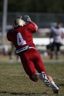 爱游戏体育官方在线-中超球队传球链路密集度评分系统